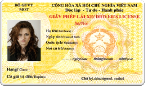 Conversion-Of-Foreign-Driving-Licenses-Into-Vietnamese-Equivalents